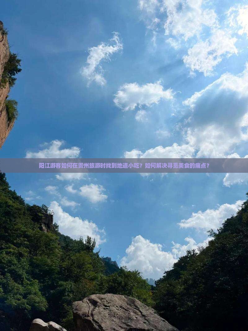 阳江游客如何在贵州旅游时找到地道小吃？如何解决寻觅美食的痛点？