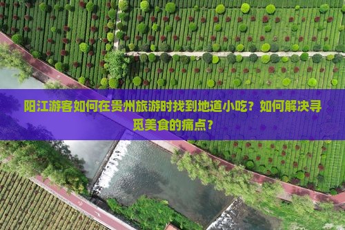 阳江游客如何在贵州旅游时找到地道小吃？如何解决寻觅美食的痛点？