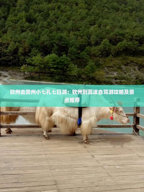 钦州去贵州小七孔七日游：钦州到荔波自驾游攻略及景点推荐