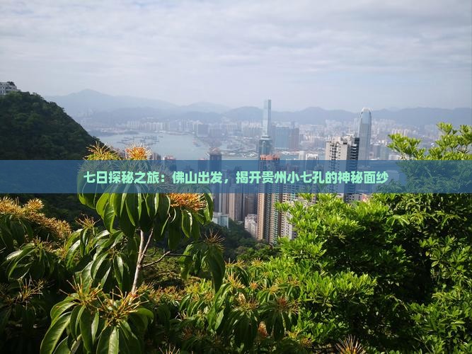 七日探秘之旅：佛山出发，揭开贵州小七孔的神秘面纱