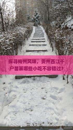 探寻梅州风味，贵州西江千户苗寨哪些小吃不容错过？