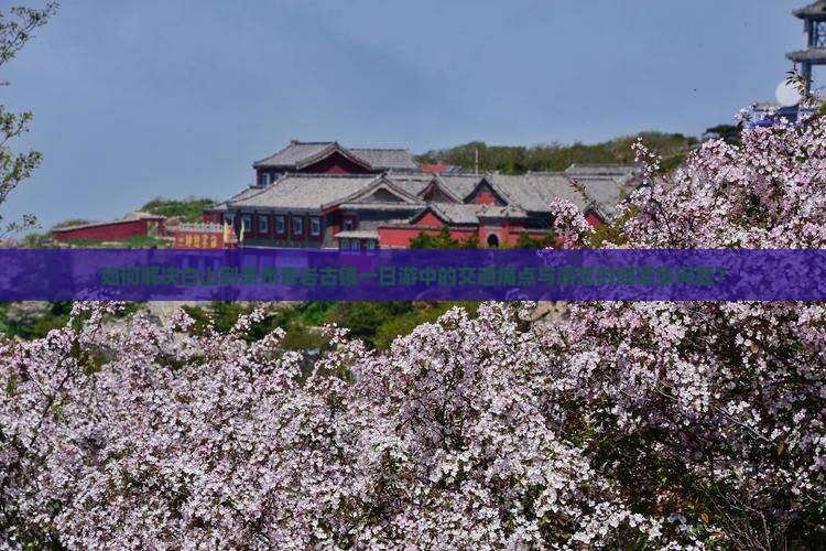 如何解决白山到贵州青岩古镇一日游中的交通痛点与游览时间紧张问题？
