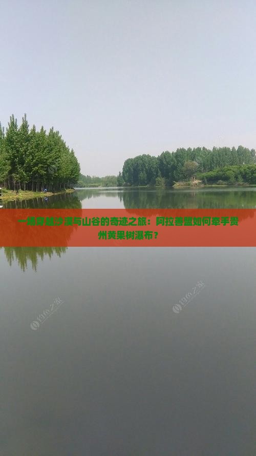 一场穿越沙漠与山谷的奇迹之旅：阿拉善盟如何牵手贵州黄果树瀑布？