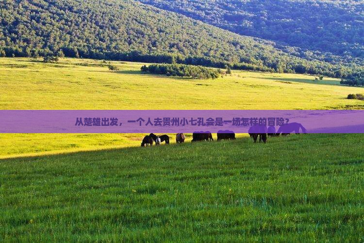 从楚雄出发，一个人去贵州小七孔会是一场怎样的冒险？