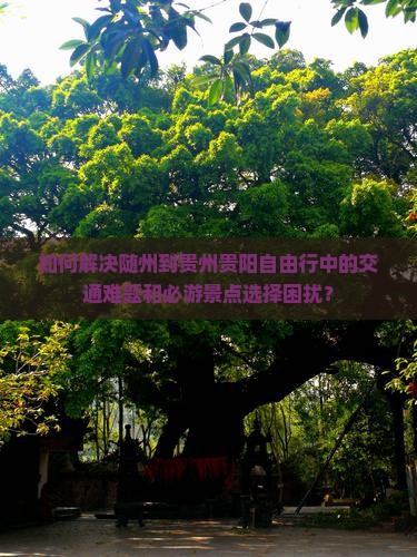 如何解决随州到贵州贵阳自由行中的交通难题和必游景点选择困扰？