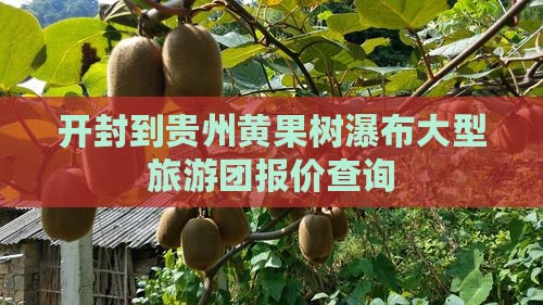 开封到贵州黄果树瀑布大型旅游团报价查询