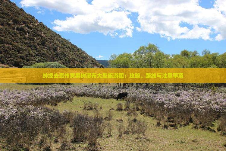 蚌埠去贵州黄果树瀑布大型旅游团：攻略、路线与注意事项