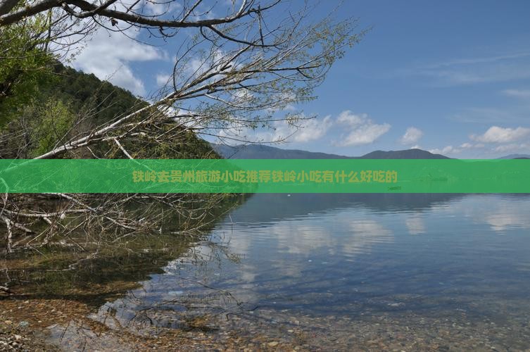 铁岭去贵州旅游小吃推荐铁岭小吃有什么好吃的