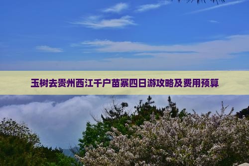 玉树去贵州西江千户苗寨四日游攻略及费用预算