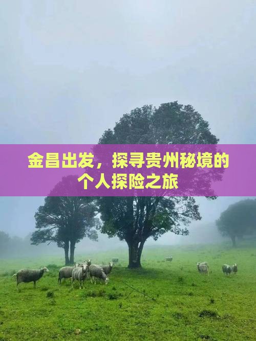 金昌出发，探寻贵州秘境的个人探险之旅