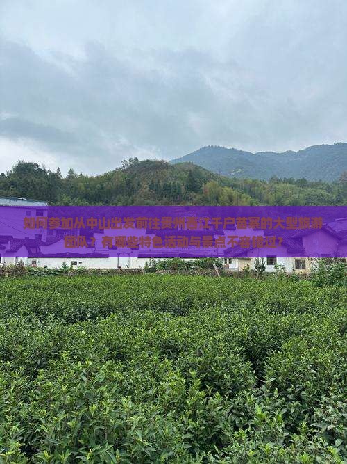 如何参加从中山出发前往贵州西江千户苗寨的大型旅游团队？有哪些特色活动与景点不容错过？