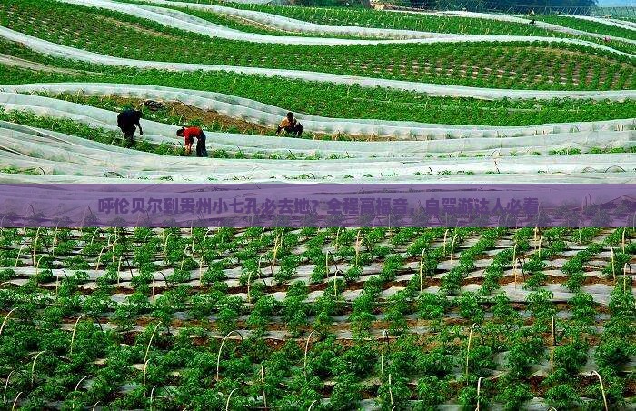 呼伦贝尔到贵州小七孔必去地？全程高福音，自驾游达人必看