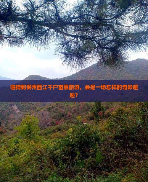 临猗到贵州西江千户苗寨旅游，会是一场怎样的奇妙邂逅？