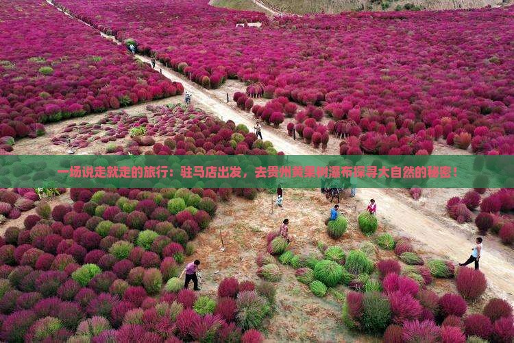 一场说走就走的旅行:驻马店出发,去贵州黄果树瀑布探寻大自然的秘密! 一场说走就走的旅行:驻马店出发,去贵州黄果树瀑布探寻大自然的秘密!