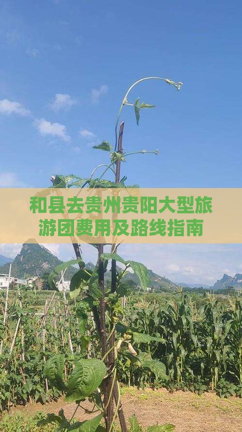和县去贵州贵阳大型旅游团费用及路线指南