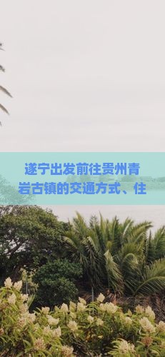 遂宁出发前往贵州青岩古镇的交通方式、住宿推荐及游玩攻略全解析