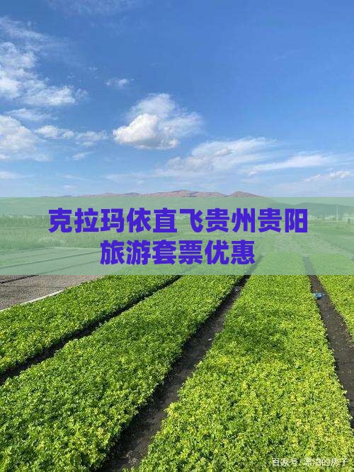 克拉玛依直飞贵州贵阳旅游套票优惠