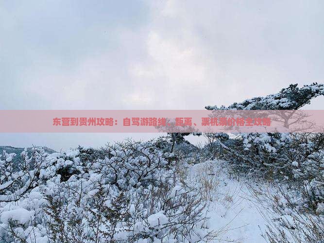 东营到贵州攻略：自驾游路线、距离、票机票价格全攻略