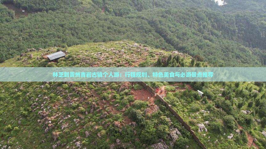 林芝到贵州青岩古镇个人游：行程规划、特色美食与必游景点推荐