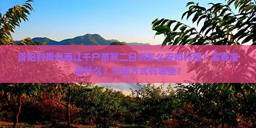 贵阳到贵州西江千户苗寨二日游怎么安排行程？需要准备什么？交通方式有哪些？