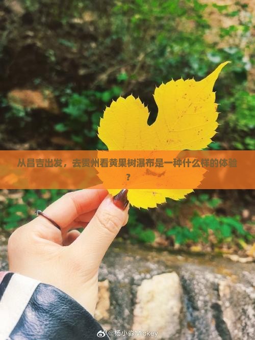 从昌吉出发，去贵州看黄果树瀑布是一种什么样的体验？