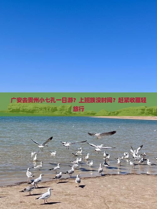 广安去贵州小七孔一日游？上班族没时间？赶紧收藏轻旅行