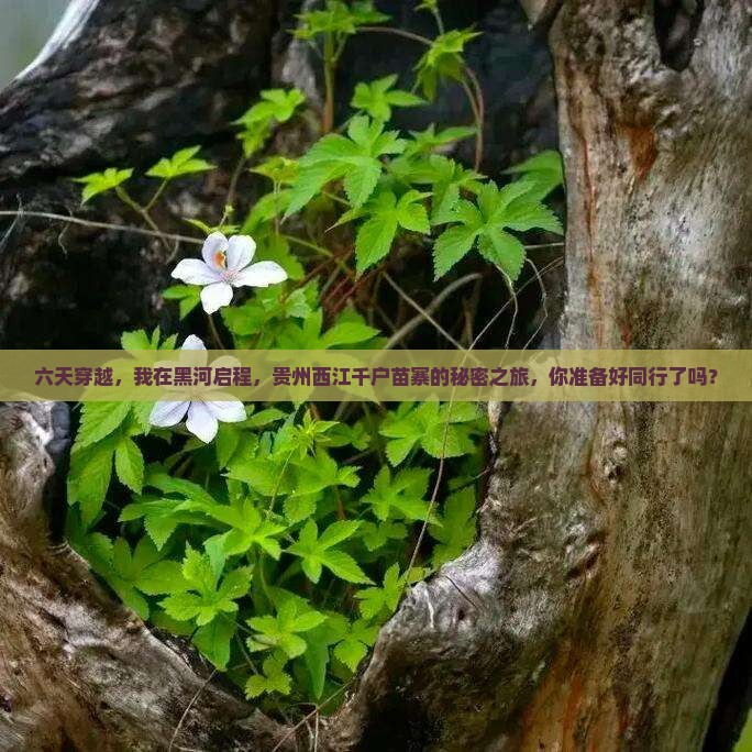 六天穿越，我在黑河启程，贵州西江千户苗寨的秘密之旅，你准备好同行了吗？
