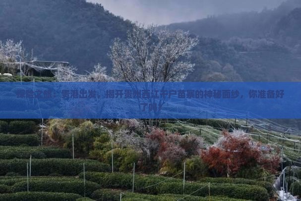 探险之旅：贵港出发，揭开贵州西江千户苗寨的神秘面纱，你准备好了吗？
