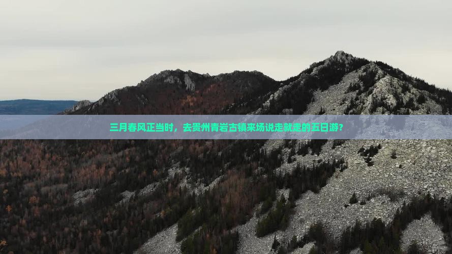三月春风正当时，去贵州青岩古镇来场说走就走的五日游？
