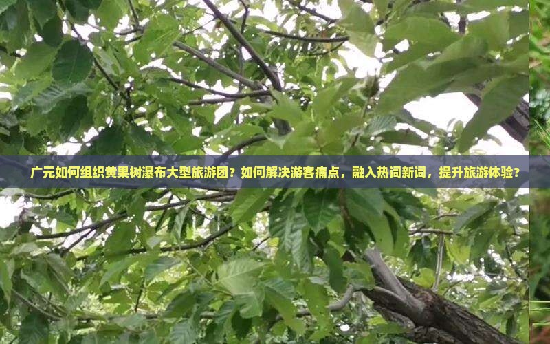 广元如何组织黄果树瀑布大型旅游团？如何解决游客痛点，融入热词新词，提升旅游体验？