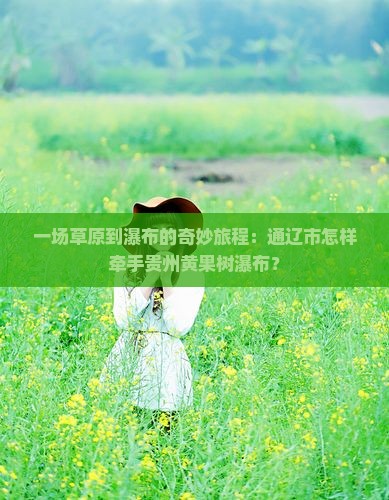 一场草原到瀑布的奇妙旅程：通辽市怎样牵手贵州黄果树瀑布？