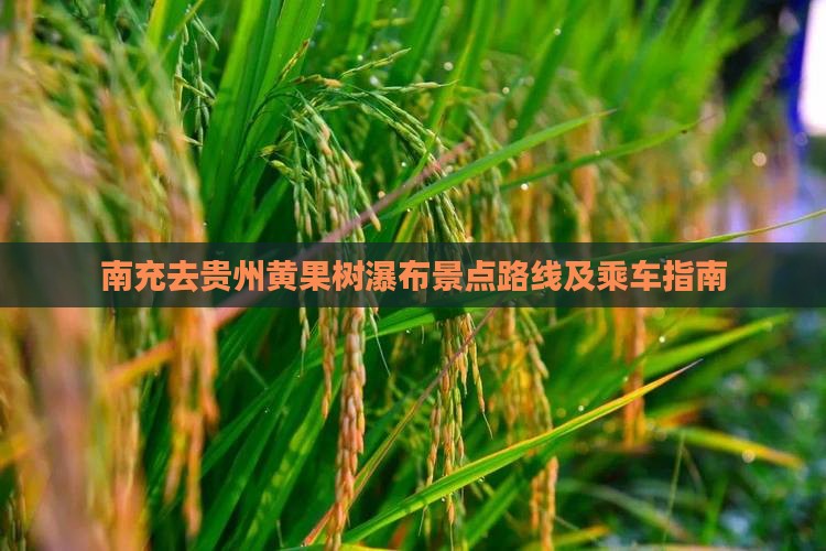 南充去贵州黄果树瀑布景点路线及乘车指南