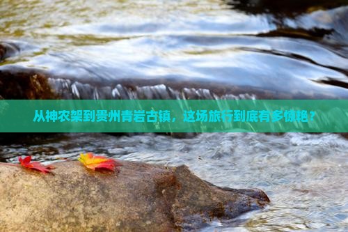 从神农架到贵州青岩古镇，这场旅行到底有多惊艳？