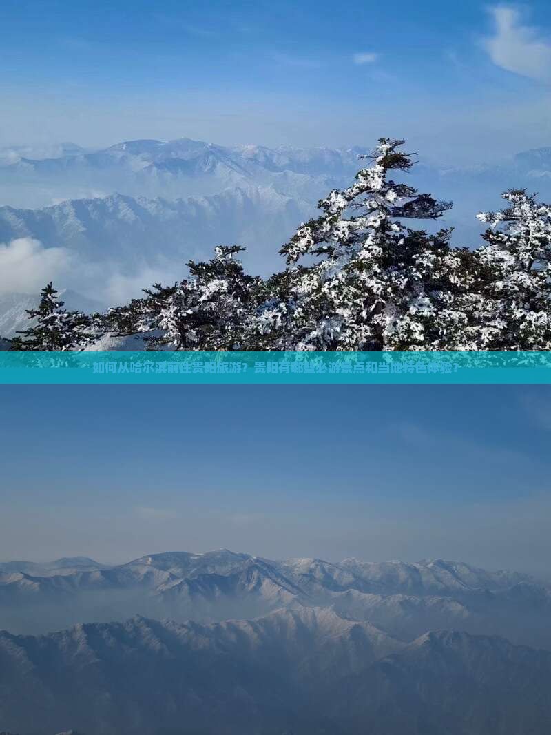 如何从哈尔滨前往贵阳旅游？贵阳有哪些必游景点和当地特色体验？