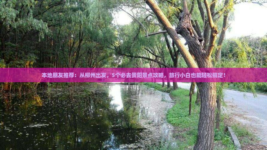 本地朋友推荐：从柳州出发，5个必去贵阳景点攻略，旅行小白也能轻松搞定！