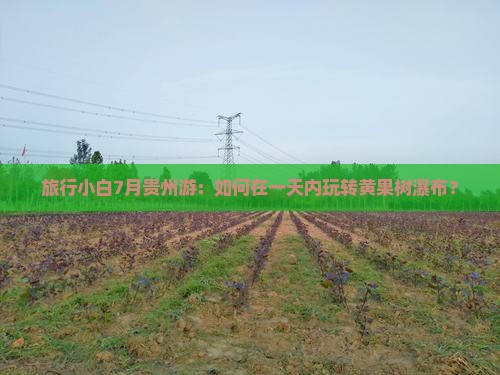 旅行小白7月贵州游：如何在一天内玩转黄果树瀑布？