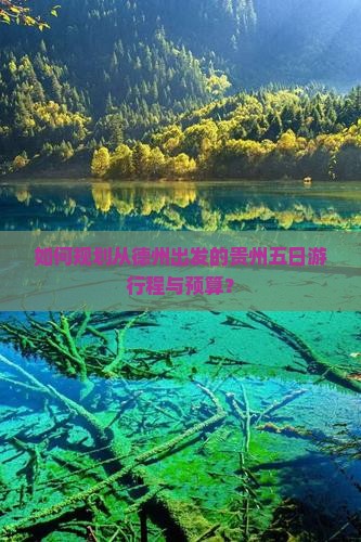 如何规划从德州出发的贵州五日游行程与预算？
