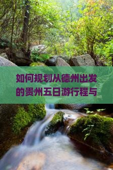 如何规划从德州出发的贵州五日游行程与预算？