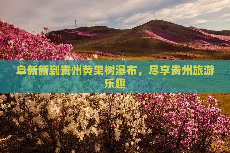 阜新到贵州黄果树瀑布团体旅游