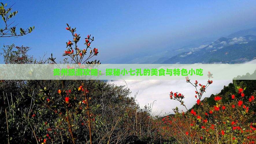 诸城去贵州小七孔旅游小吃