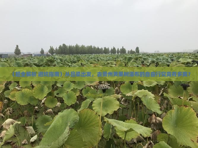 吕梁到贵州黄果树瀑布自由行