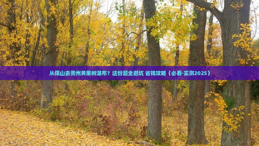保山到贵州黄果树瀑布攻略