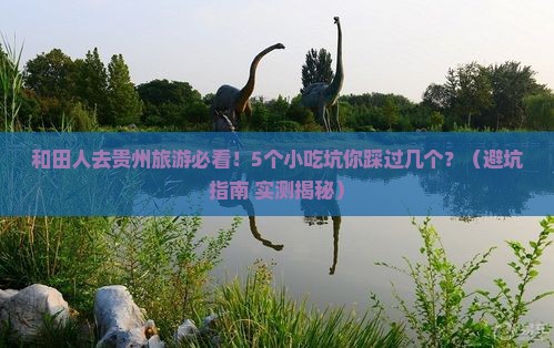 和田去贵州旅游小吃