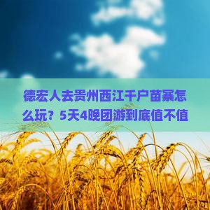 德宏去贵州西江千户苗寨团体旅游