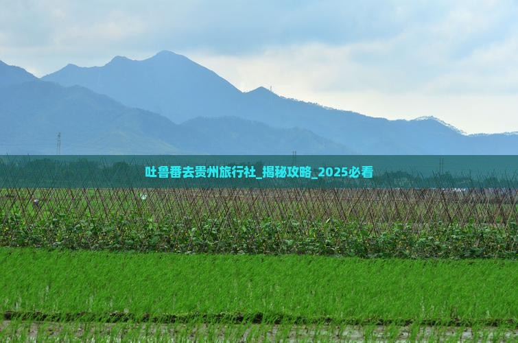 吐鲁番去贵州旅行社