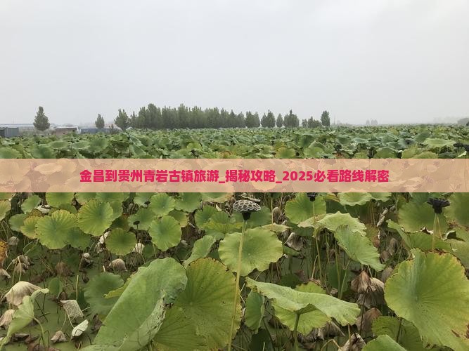 金昌到贵州青岩古镇旅游