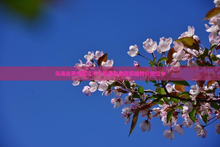 乌海去贵州西江千户苗寨自由团