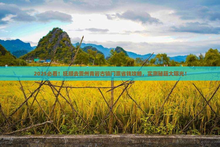 抚顺去贵州青岩古镇门票