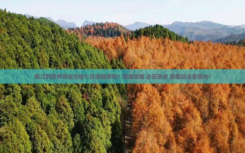 阳江到贵州青岩古镇七日游