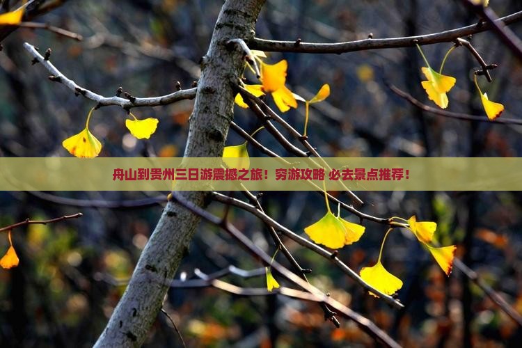 舟山到贵州三日游